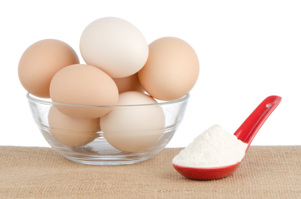 Egg Protein Powder Market