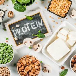 Plant-Based Protein Market