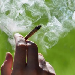 In cannabis users, fatal diseases are more prevalent than in cigarette smokers