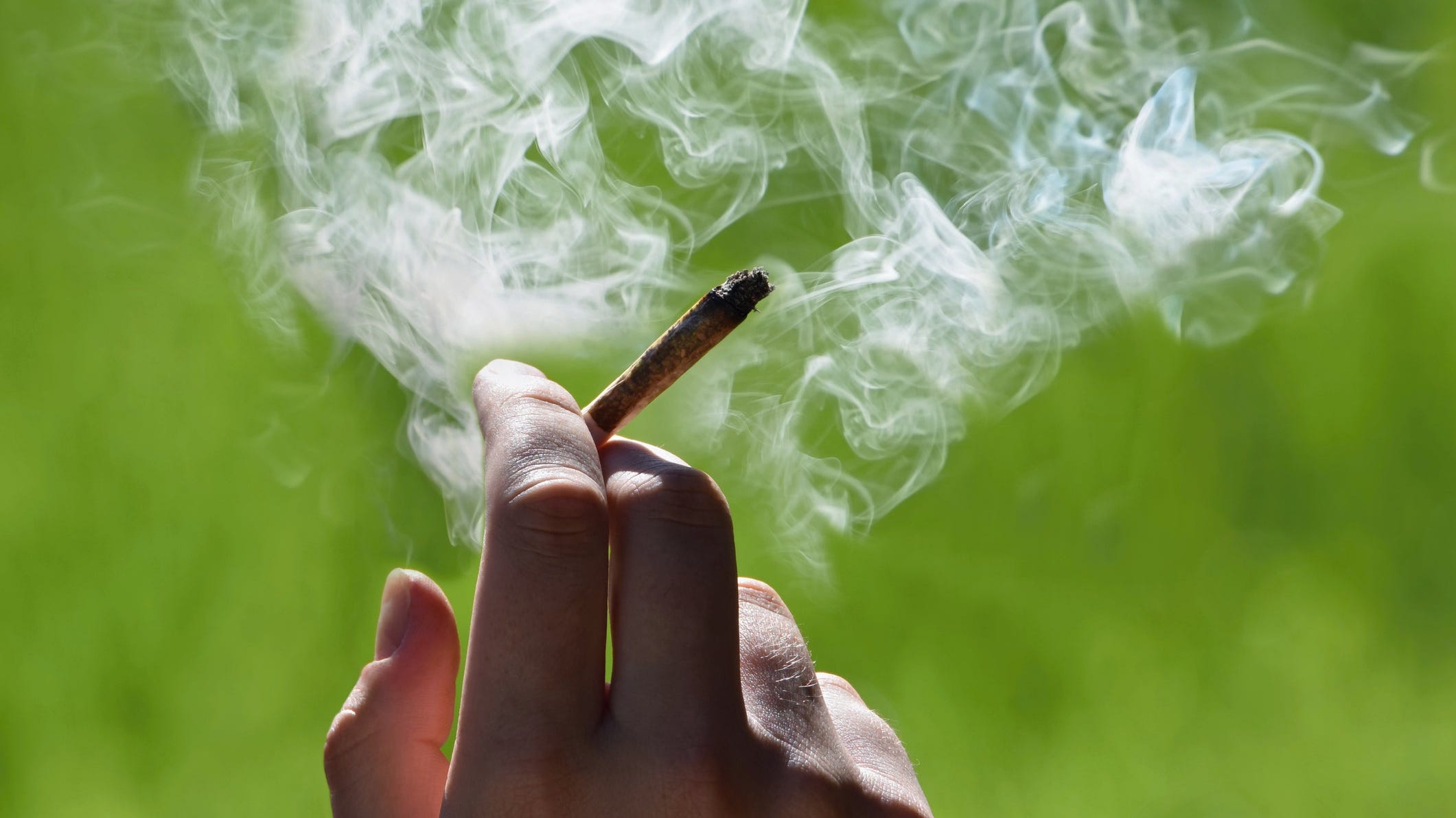 In cannabis users, fatal diseases are more prevalent than in cigarette smokers