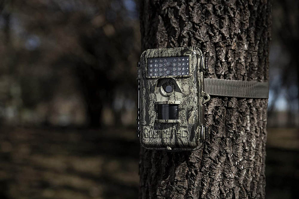 Trail Camera Market