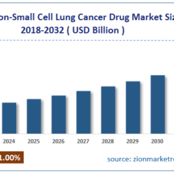 Non-Small Cell Lung Cancer Drug Market Analysis: Key Trends, Growth Drivers, and Market Forecast 2032